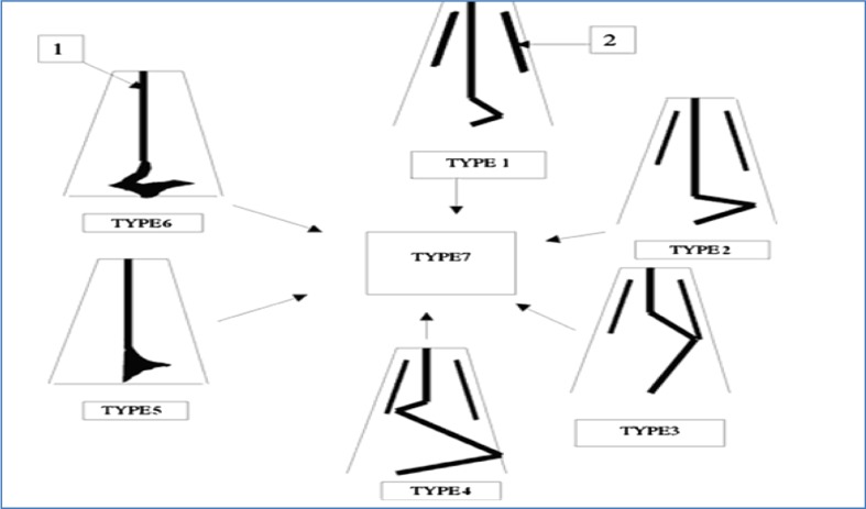 Fig. 1