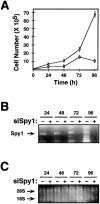 Figure 9.