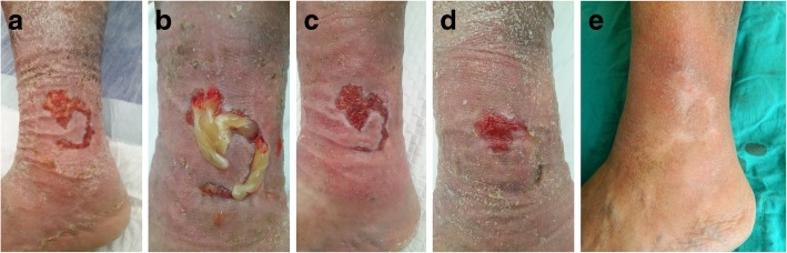 Fig. 3
