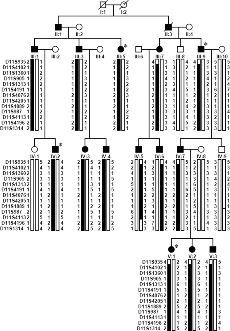 Fig. 1