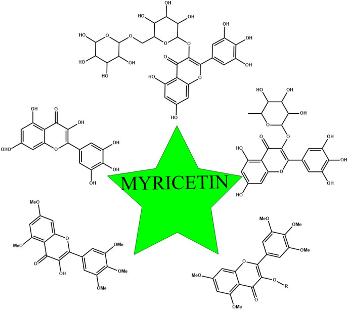 FIGURE 1