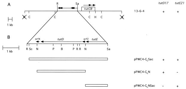 FIG. 1