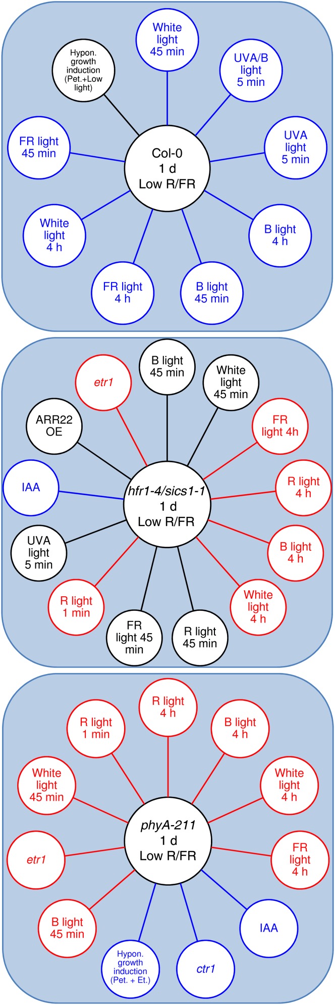 Figure 9.