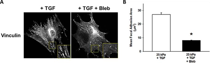 FIGURE 12.