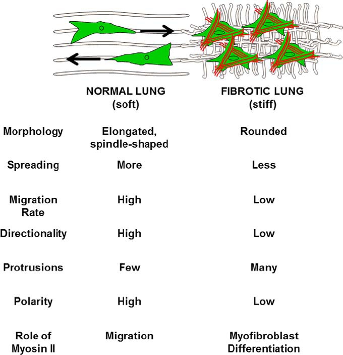 FIGURE 13.