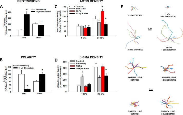 FIGURE 11.