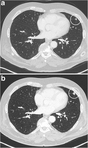 Fig. 5