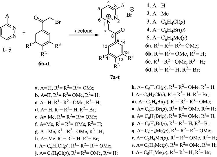 Scheme 1