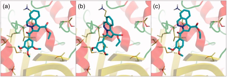 Figure 4