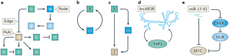 Figure 1 |