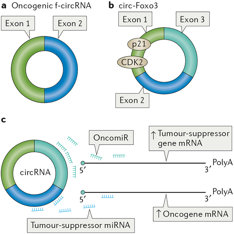 Figure 3 |