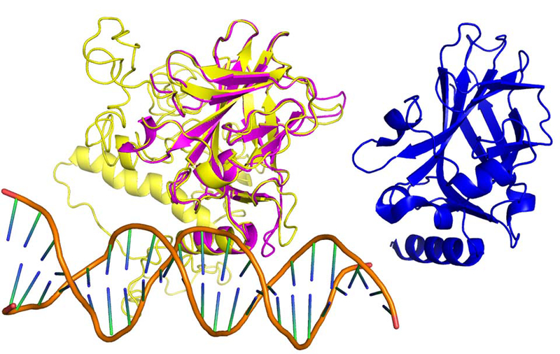 Figure 4.