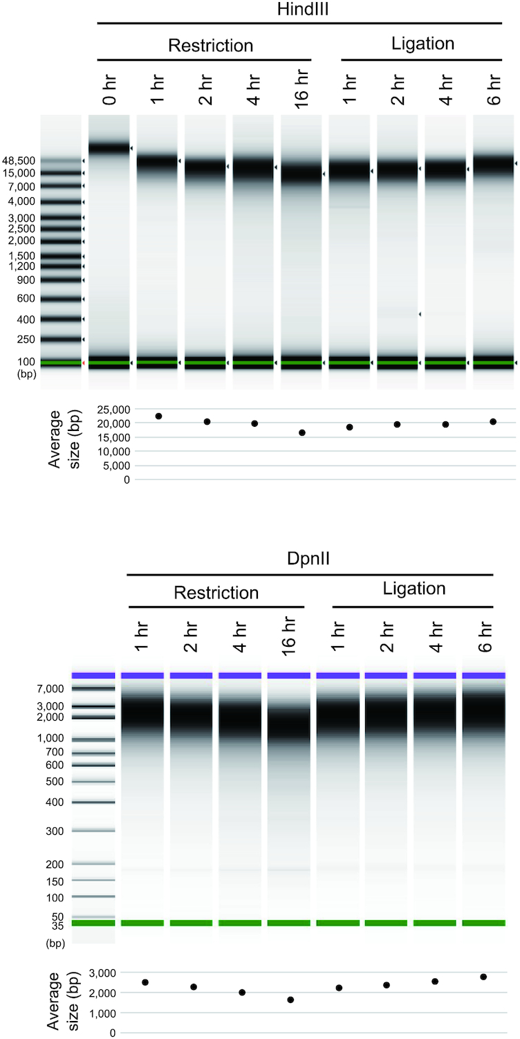 Figure 6: