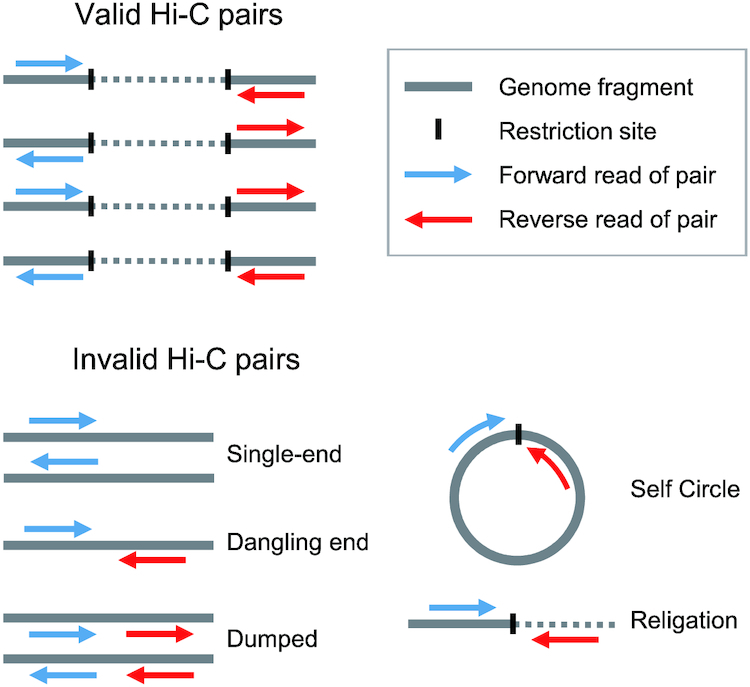 Figure 4: