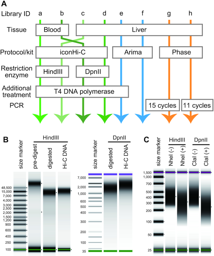 Figure 7: