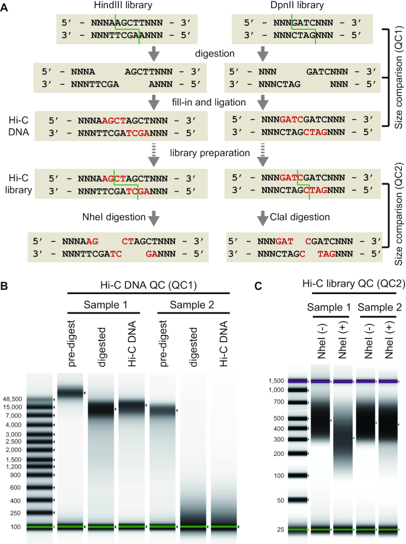 Figure 3: