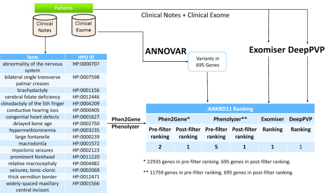 Figure 4.