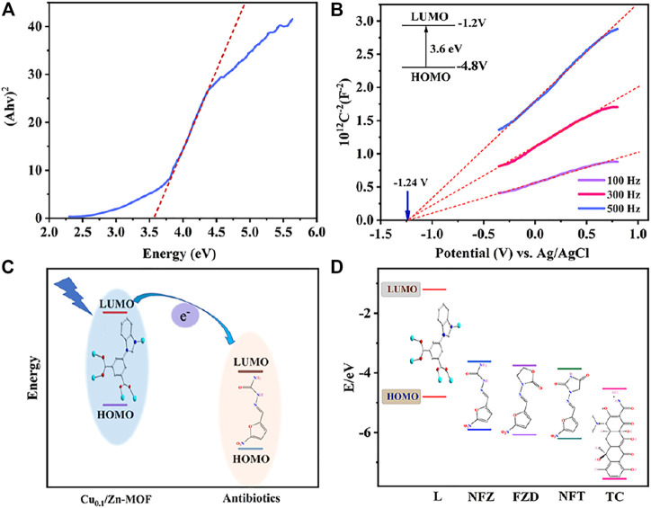 FIGURE 6