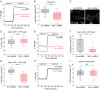 Figure 5: