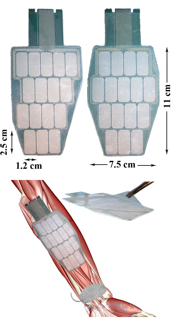 Figure 13