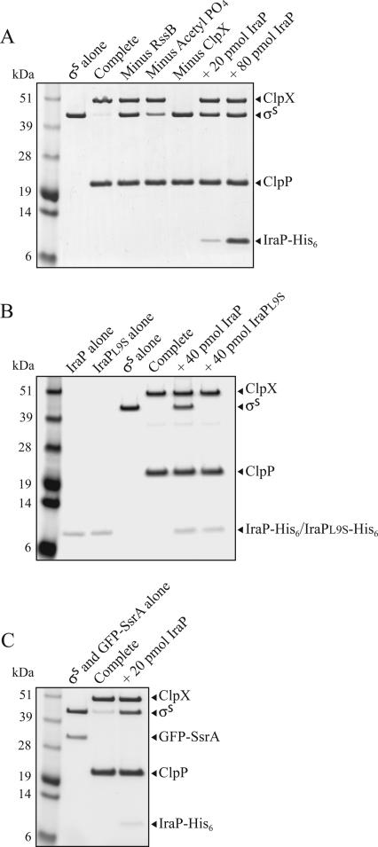 Figure 4.