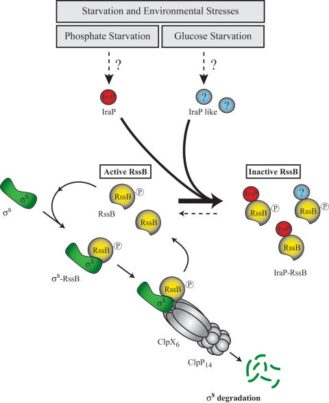 Figure 6.