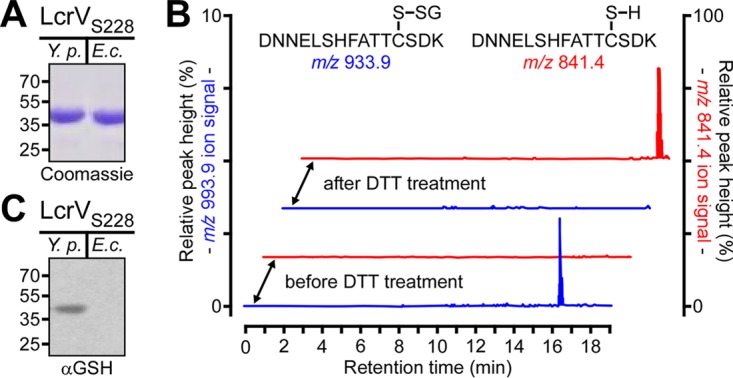 FIG 1 