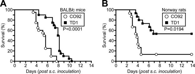 FIG 3 