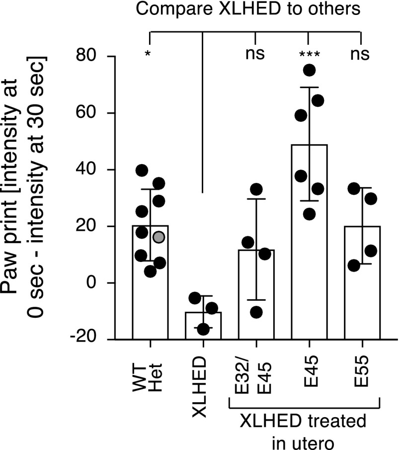 Fig. 7.