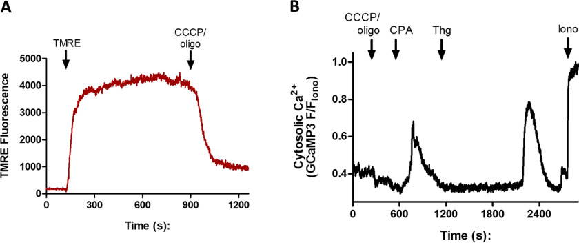 Figure 7.