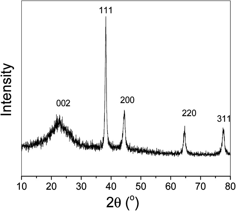 Fig. 1