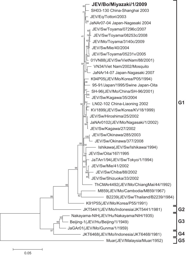 Fig 1