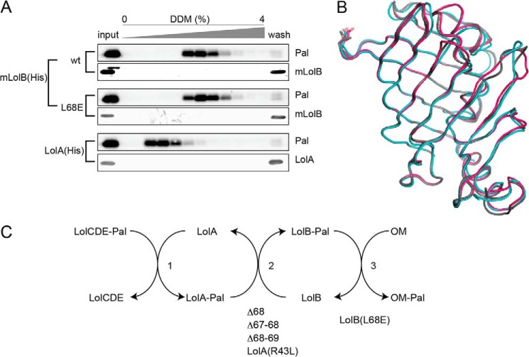 FIGURE 9.