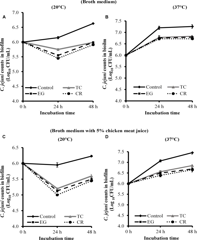 FIGURE 3