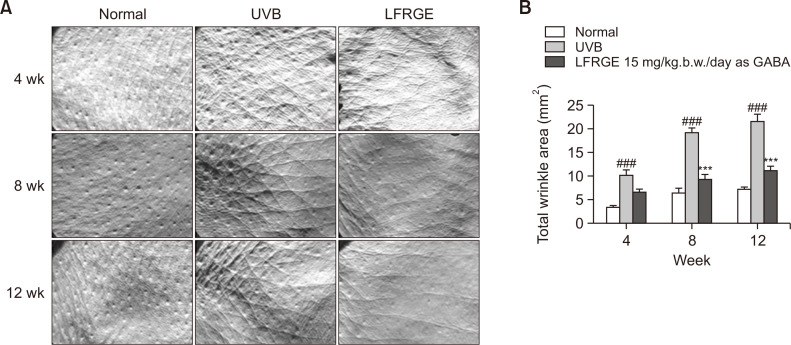 Fig. 8