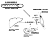 Figure 1)