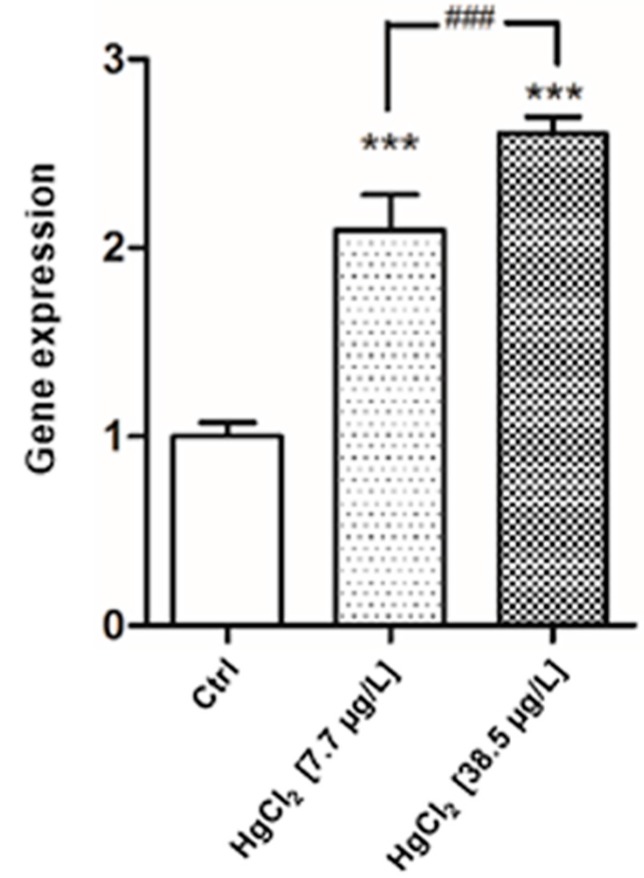 Figure 9