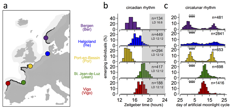 Extended Data Figure 1