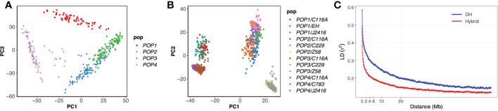 Figure 2