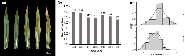 Figure 1