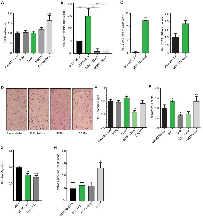 Figure 4—figure supplement 1.