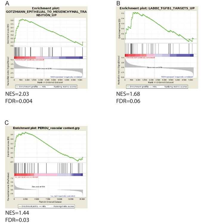 Figure 7—figure supplement 2.