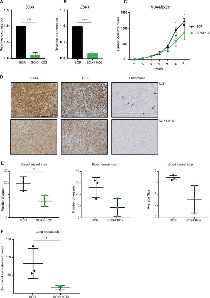 Figure 6—figure supplement 1.