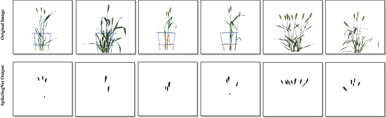 Fig. 12