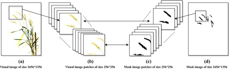 Fig. 2