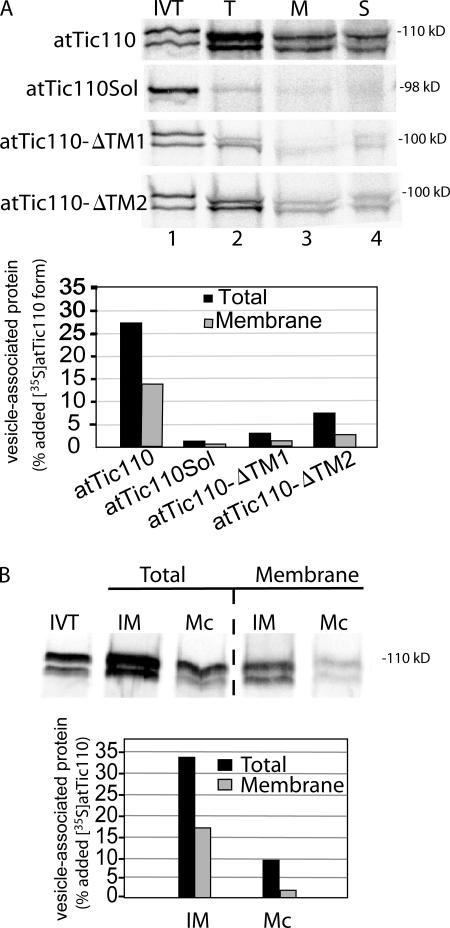 Figure 10.