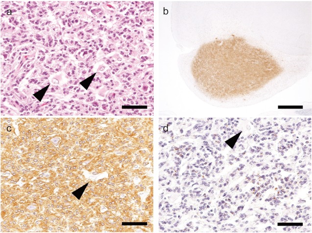 Fig 3.