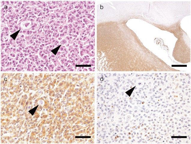 Fig 2.