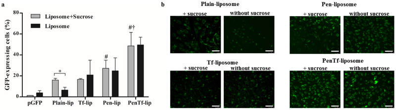 Fig. 11.