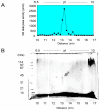 Figure 28